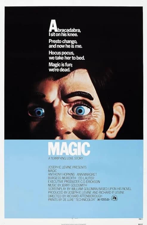 Magic film posteri